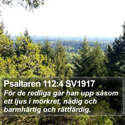 Psaltaren 112:4 SV1917 Bible Verse Image
