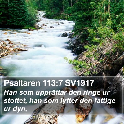 Psaltaren 113:7 SV1917 Bible Verse Image