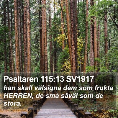 Psaltaren 115:13 SV1917 Bible Verse Image