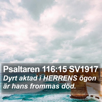 Psaltaren 116:15 SV1917 Bible Verse Image