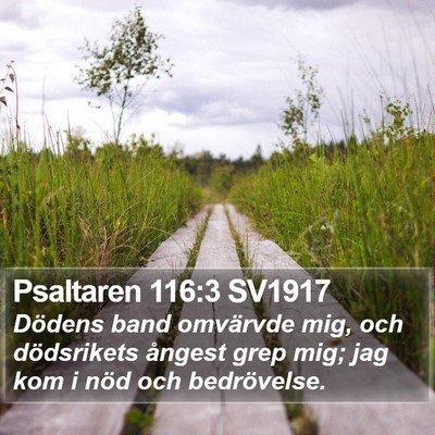 Psaltaren 116:3 SV1917 Bible Verse Image