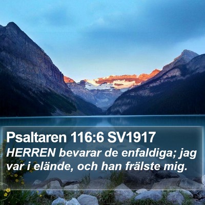 Psaltaren 116:6 SV1917 Bible Verse Image