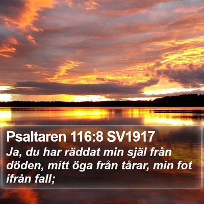 Psaltaren 116:8 SV1917 Bible Verse Image