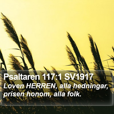 Psaltaren 117:1 SV1917 Bible Verse Image