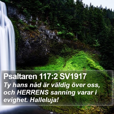 Psaltaren 117:2 SV1917 Bible Verse Image