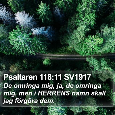 Psaltaren 118:11 SV1917 Bible Verse Image