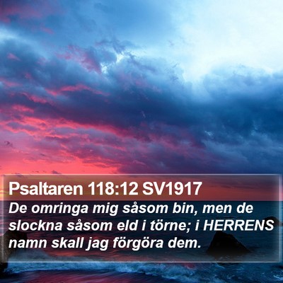 Psaltaren 118:12 SV1917 Bible Verse Image