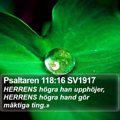 Psaltaren 118:16 SV1917 Bible Verse Image