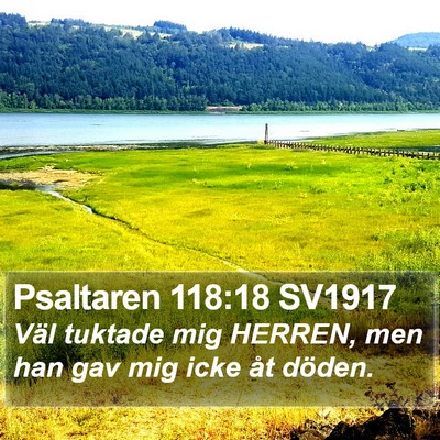 Psaltaren 118:18 SV1917 Bible Verse Image