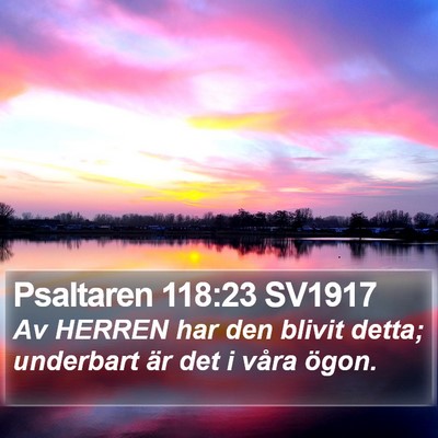 Psaltaren 118:23 SV1917 Bible Verse Image