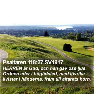 Psaltaren 118:27 SV1917 Bible Verse Image