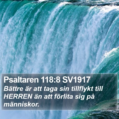 Psaltaren 118:8 SV1917 Bible Verse Image