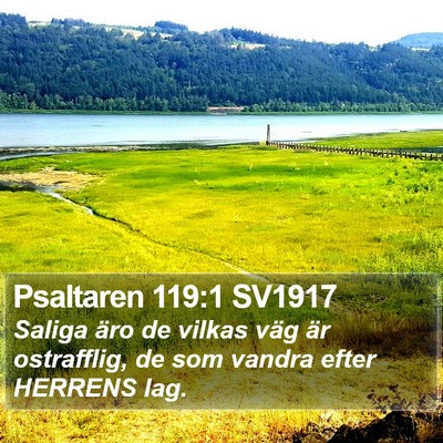 Psaltaren 119:1 SV1917 Bible Verse Image