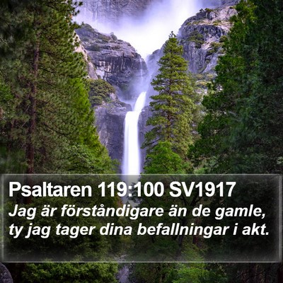 Psaltaren 119:100 SV1917 Bible Verse Image