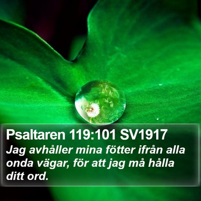 Psaltaren 119:101 SV1917 Bible Verse Image