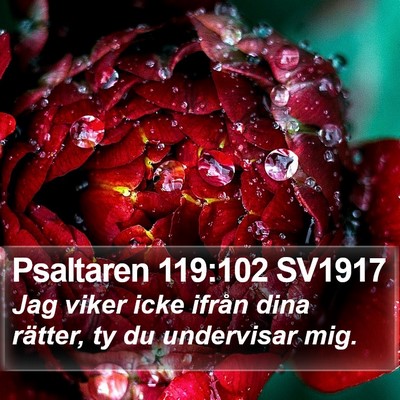 Psaltaren 119:102 SV1917 Bible Verse Image