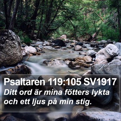 Psaltaren 119:105 SV1917 Bible Verse Image