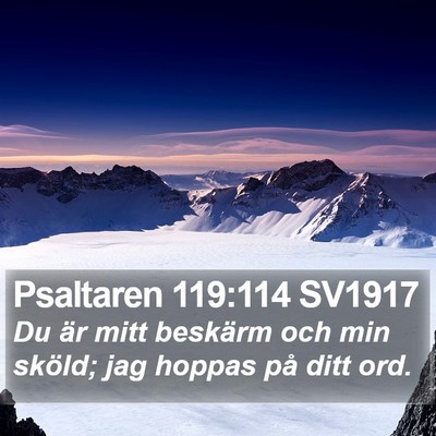 Psaltaren 119:114 SV1917 Bible Verse Image