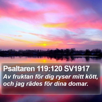 Psaltaren 119:120 SV1917 Bible Verse Image