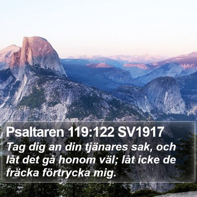 Psaltaren 119:122 SV1917 Bible Verse Image