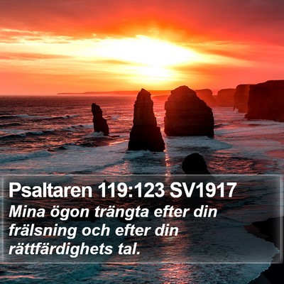 Psaltaren 119:123 SV1917 Bible Verse Image