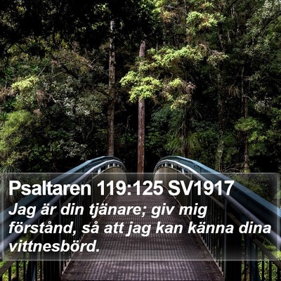 Psaltaren 119:125 SV1917 Bible Verse Image