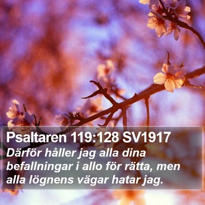 Psaltaren 119:128 SV1917 Bible Verse Image