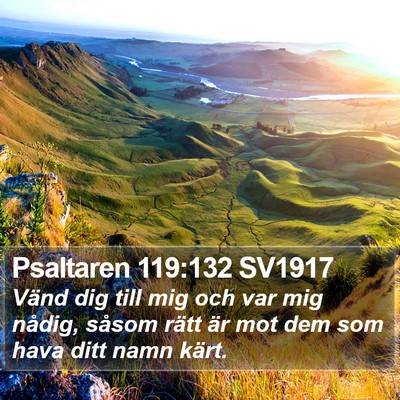 Psaltaren 119:132 SV1917 Bible Verse Image