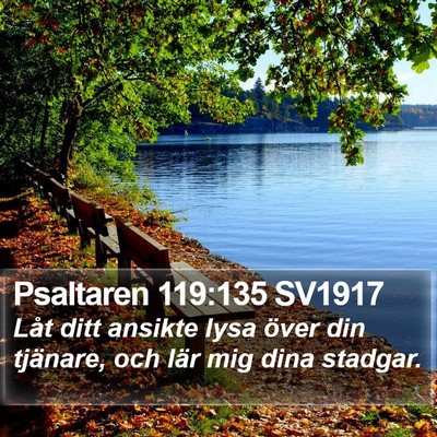 Psaltaren 119:135 SV1917 Bible Verse Image