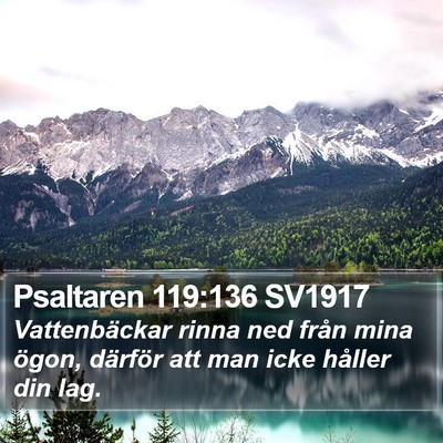 Psaltaren 119:136 SV1917 Bible Verse Image