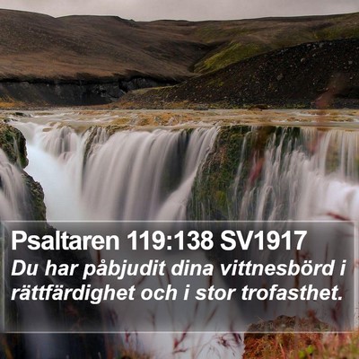 Psaltaren 119:138 SV1917 Bible Verse Image