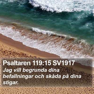 Psaltaren 119:15 SV1917 Bible Verse Image