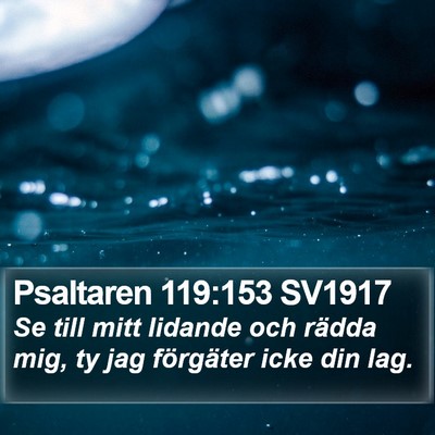Psaltaren 119:153 SV1917 Bible Verse Image