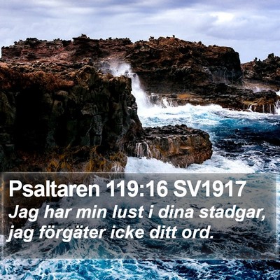 Psaltaren 119:16 SV1917 Bible Verse Image