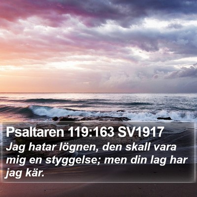 Psaltaren 119:163 SV1917 Bible Verse Image