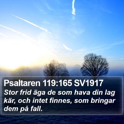 Psaltaren 119:165 SV1917 Bible Verse Image