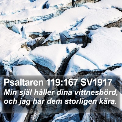 Psaltaren 119:167 SV1917 Bible Verse Image