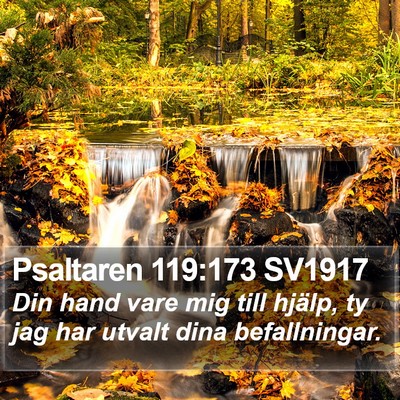 Psaltaren 119:173 SV1917 Bible Verse Image