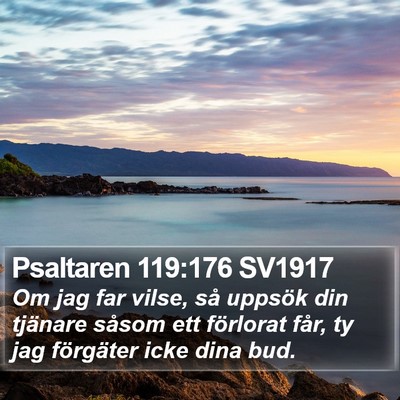 Psaltaren 119:176 SV1917 Bible Verse Image