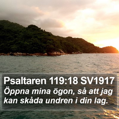 Psaltaren 119:18 SV1917 Bible Verse Image