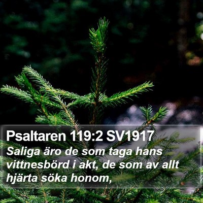 Psaltaren 119:2 SV1917 Bible Verse Image