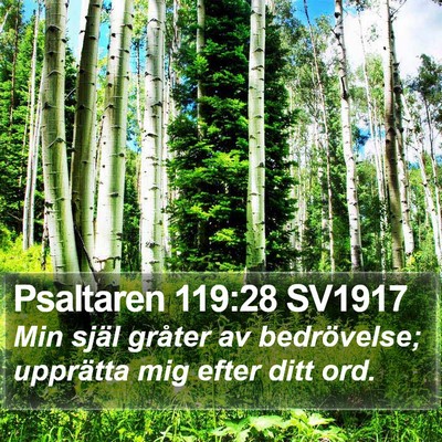 Psaltaren 119:28 SV1917 Bible Verse Image