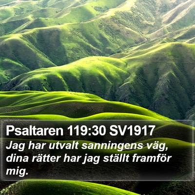 Psaltaren 119:30 SV1917 Bible Verse Image