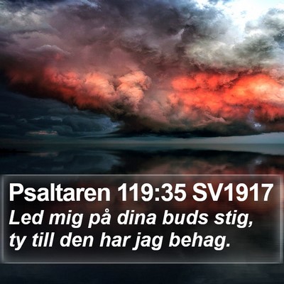 Psaltaren 119:35 SV1917 Bible Verse Image