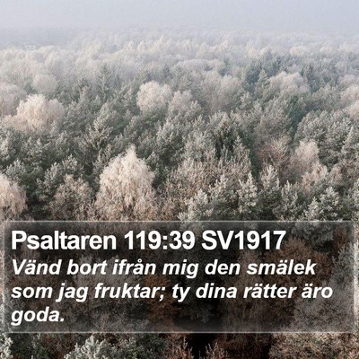 Psaltaren 119:39 SV1917 Bible Verse Image
