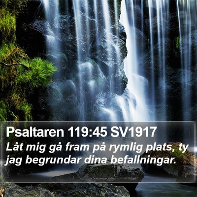 Psaltaren 119:45 SV1917 Bible Verse Image
