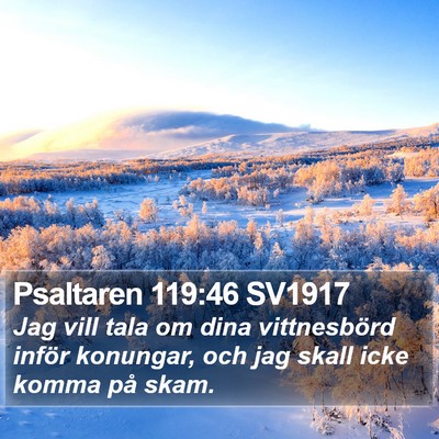 Psaltaren 119:46 SV1917 Bible Verse Image