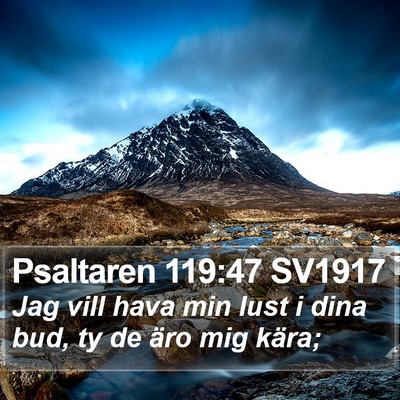 Psaltaren 119:47 SV1917 Bible Verse Image
