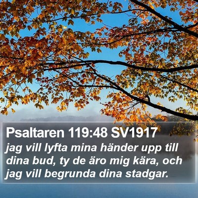 Psaltaren 119:48 SV1917 Bible Verse Image