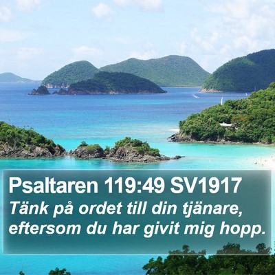 Psaltaren 119:49 SV1917 Bible Verse Image